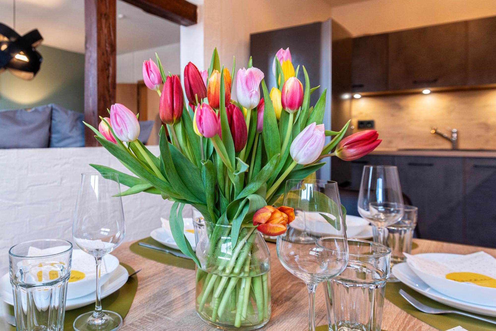 Grosszuegiges Apartment - Zentral - Kueche - Familienfreundlich Эрфурт Экстерьер фото